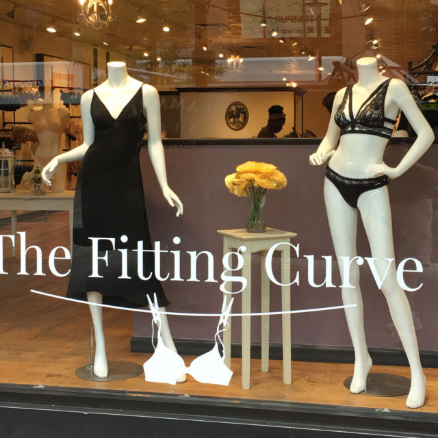 The Fitting Curve Window