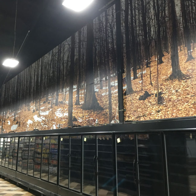 Jericho Market Wall