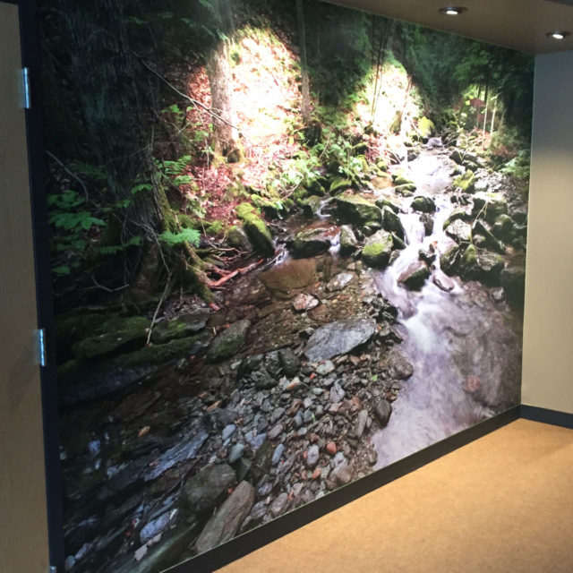 The Nature Conservancy Wall