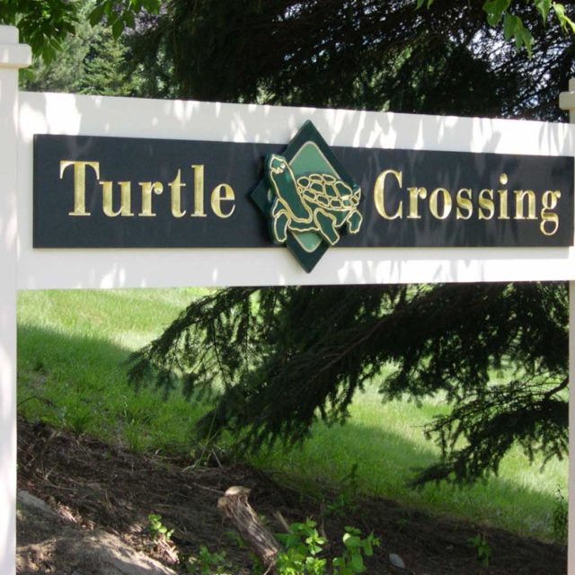 Turtle Crossing Freestanding